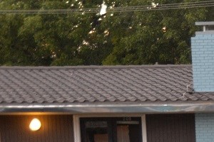 5727 Gaston - STARDUST courtyard outdoor entertainment